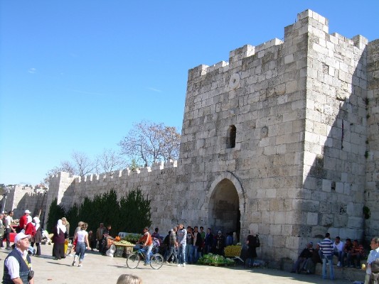 DSCN1629.JPG