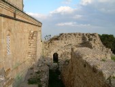 DSCN1311.JPG