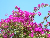 DSCN1366.JPG
