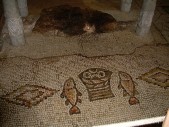 DSCN1388.JPG