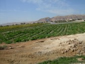 DSCN1416.JPG