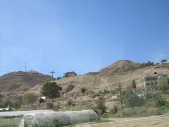 DSCN1428.JPG