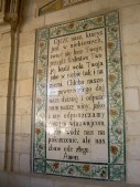 DSCN1502.JPG