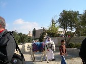 DSCN1511.JPG