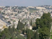 DSCN1515.JPG