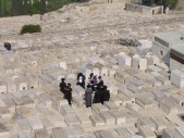DSCN1516.JPG