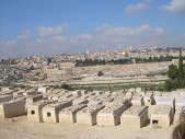 DSCN1517.JPG