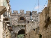 DSCN1541.JPG