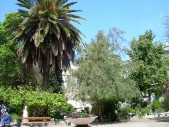 DSCN1542.JPG
