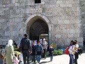 DSCN1630.JPG