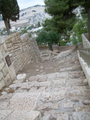 dscn5612.jpg